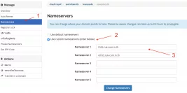Nameserver Setting