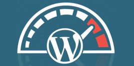 WordPress-Speed-SEO