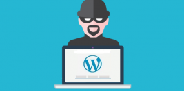 WordPress-vulnerability