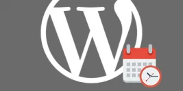 wordpress cronjob